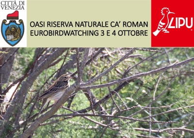 Immagine migratore a Ca' Roman