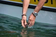 Immagine campione originale