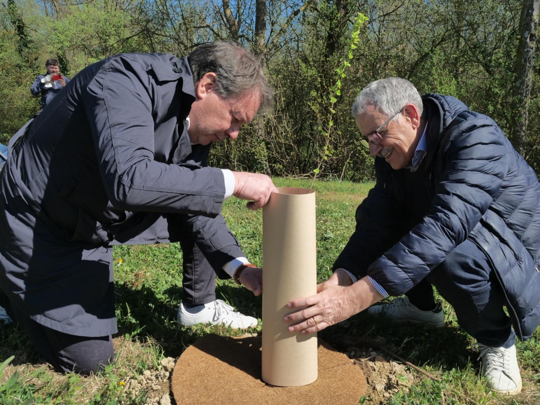 De Martin al progetto di miglioramento del bosco di Mestre