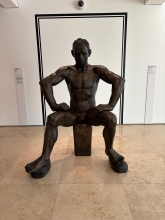 Immagine campione originale