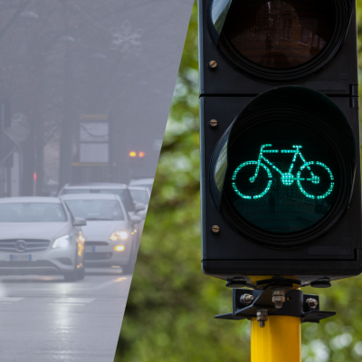 domenica ecologica.png