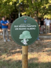 Immagine campione originale