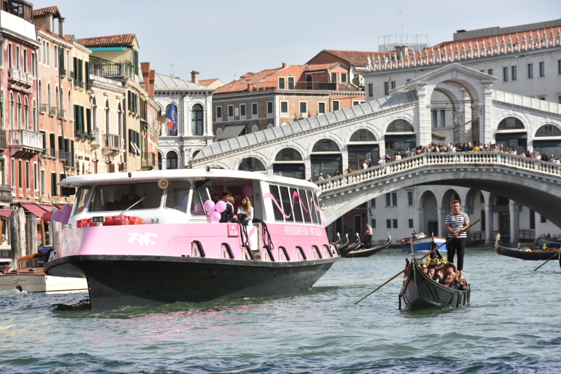 L'assessore Damiano all'apertura di Ottobre Rosa 2026