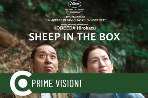Sheep in the Box Circuito CInema 