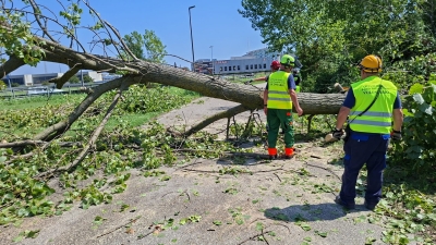 Attività Protezione civile 