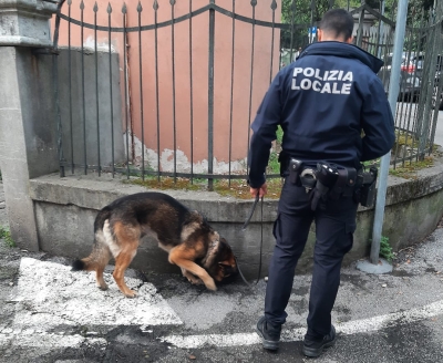 Polizia Locale Venezia Unità Cinofila