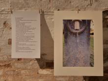 Immagine campione originale