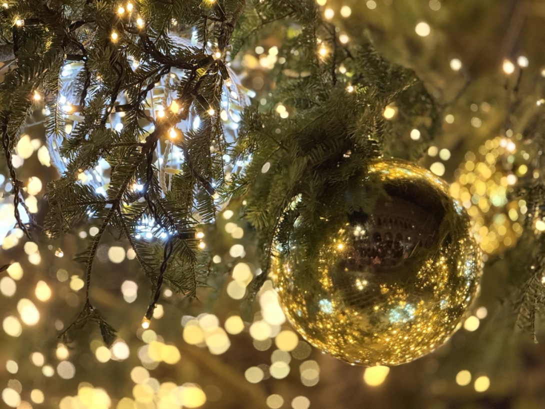 Albero di Natale Venezia 