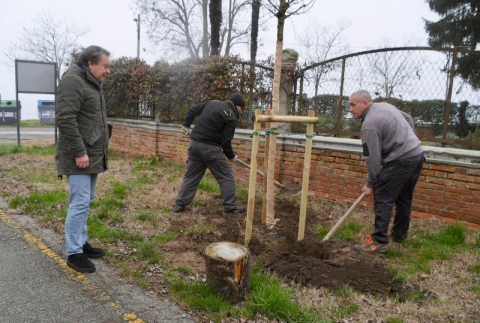 De Martin Lido alberi.jpeg