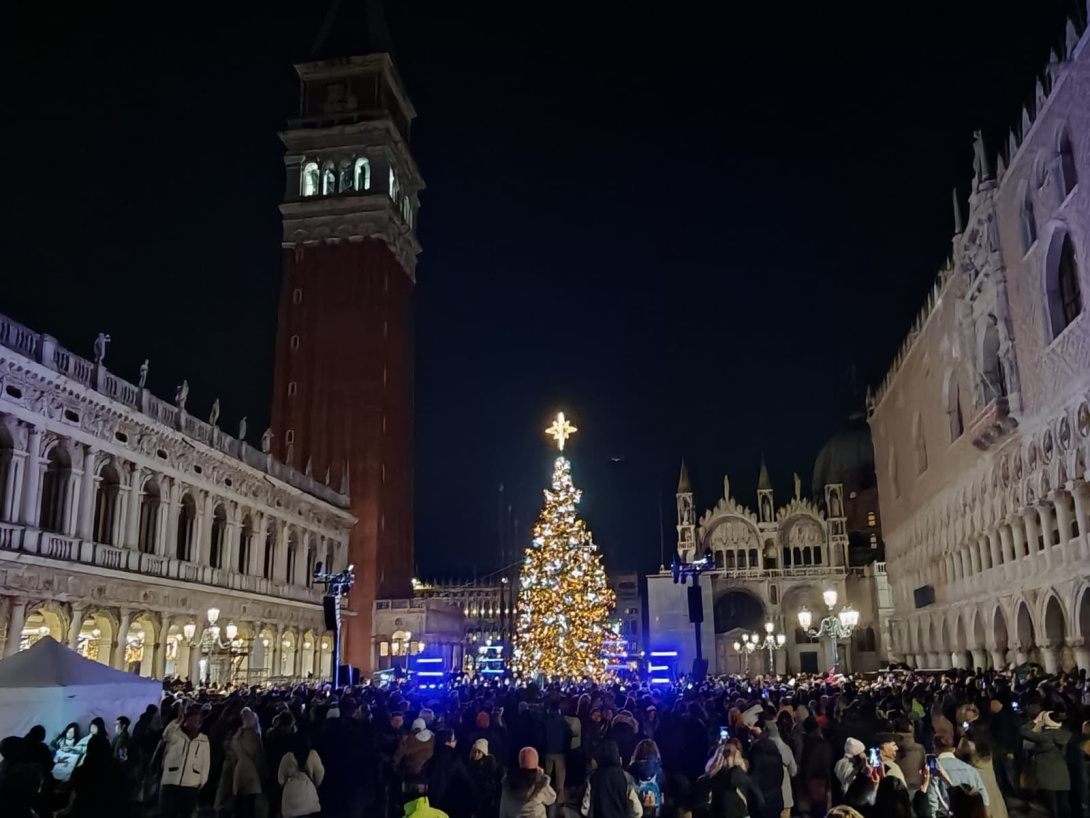Albero di natale 2025 San Marco