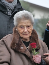 Immagine campione originale