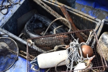 Immagine campione originale