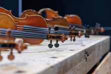 Immagine campione originale