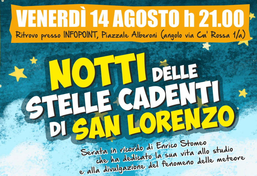 Foto locandina WWF notte stelle cadenti