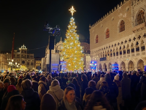 Albero di natale 2025 San Marco