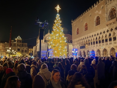 Albero di natale 2025 San Marco
