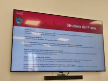 Immagine campione originale