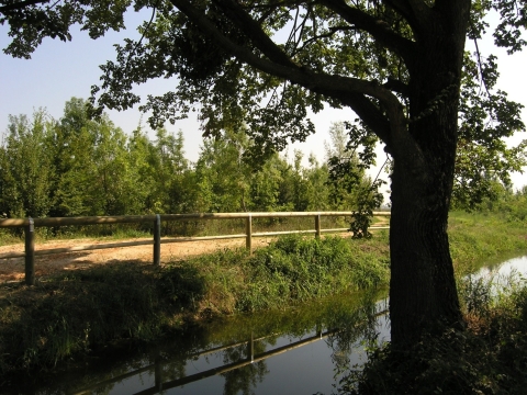 conferenza “Il bosco e il parco urbano: due strutture ecologiche e paesaggistiche complementari”