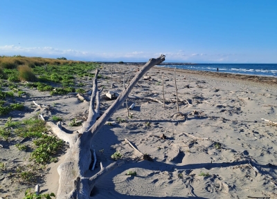 Spiaggia di Ca' Roman