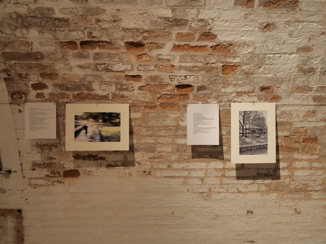 Novembre donna, Mostra Ri-scatti