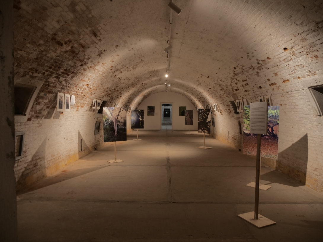 Novembre donna, Mostra Ri-scatti