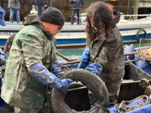 Immagine campione originale